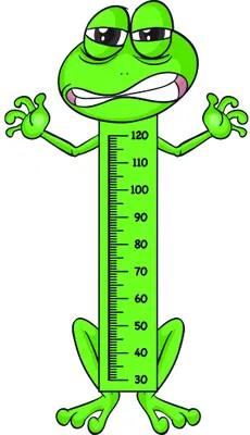 A bright green cartoon frog with large eyes, outstretched arms, and a wide smile, with a measurement scale running vertically down its body from 30 to 120 centimetres.