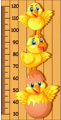 A wooden height chart featuring three cartoon yellow chicks with orange beaks, two partially hatched from brown eggs and one fully emerged at the top, against a cream background with measurement markings from 30 to 120 centimetres.