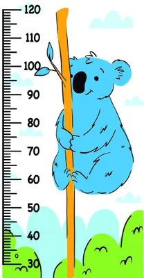 A cartoon blue koala hugs a brown wooden pole marked with height measurements from 30 to 120 centimetres, with light blue clouds and green grass below.