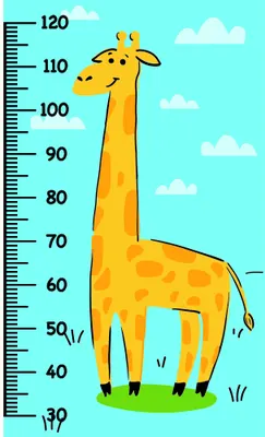 A yellow and orange spotted giraffe stands against a turquoise sky with white clouds, next to a vertical height measurement scale marked from 30 to 120 centimetres.