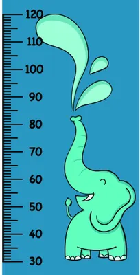 A cartoon green elephant stands with its trunk raised upward, surrounded by two leaf shapes, against a blue background marked with height measurements from 30 to 120 centimetres.