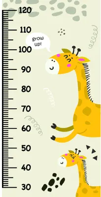 A height measurement chart with two illustrated giraffes in yellow against a cream background, marked with numbered measurements from 30 to 120 centimetres.