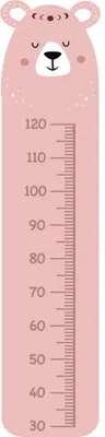 A pink illustrated bear with rounded ears and a simple smiling face stands vertically with a height measurement scale printed down its body, marked from 30 to 120 centimetres.
