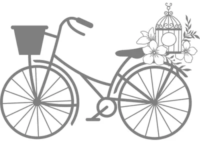 Line drawing of a vintage bicycle with a front basket and birdcage filled with flowering plants and leaves.
