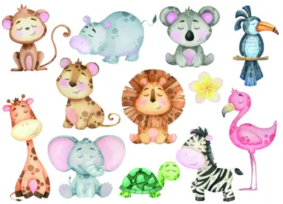 Watercolour illustration featuring a baby monkey, hippo, koala, lion, giraffe, elephant, toucan, flamingo, turtle and zebra arranged informally on a white background.