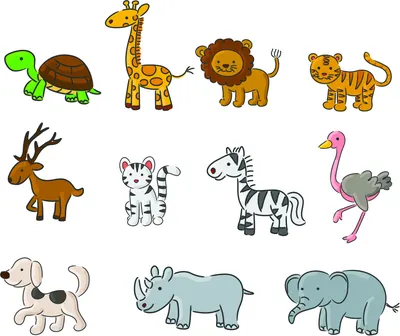Twelve cartoon animals in bright colours arranged in three rows: turtle, giraffe, lion, tiger, antelope, zebra, cat, ostrich, dog, rhinoceros and two elephants.