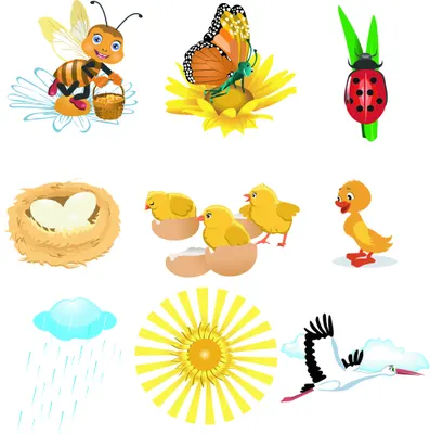 Nine cartoon illustrations arranged in a three-by-three grid: a bee carrying a basket, a butterfly on a sunflower, a ladybug, a nest with a heart, three chicks in eggshells, a duckling, rain clouds, a bright sun, and a stork in flight.